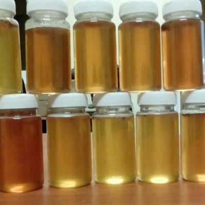 Honigproben im Labor